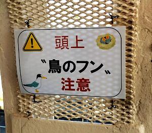 NAGOYA - Le Port - 21.01.2024 - 47